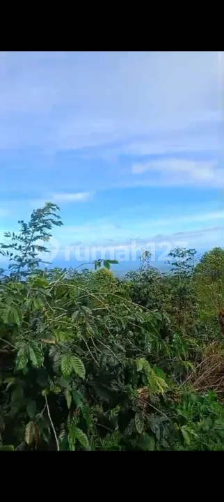 45 Are View Laut Dekat Tower Turyapada Gitgit Buleleng Bali Murah! - Image 3 of 4