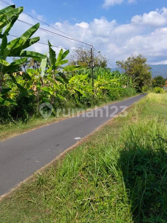 Tanah Strategis Pinggir Jalan Dekat Pantai Lovina Singaraja - Image 4 of 4