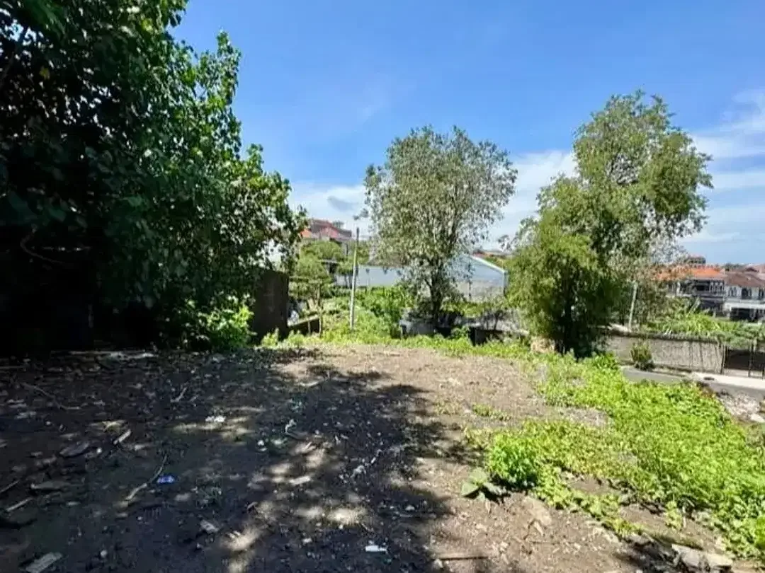 TANAH LANGKAH DAN STARTEGIS KAWASAN DI CARGO DENPASAR BARAT GOOD LOCATION - Image 4 of 5