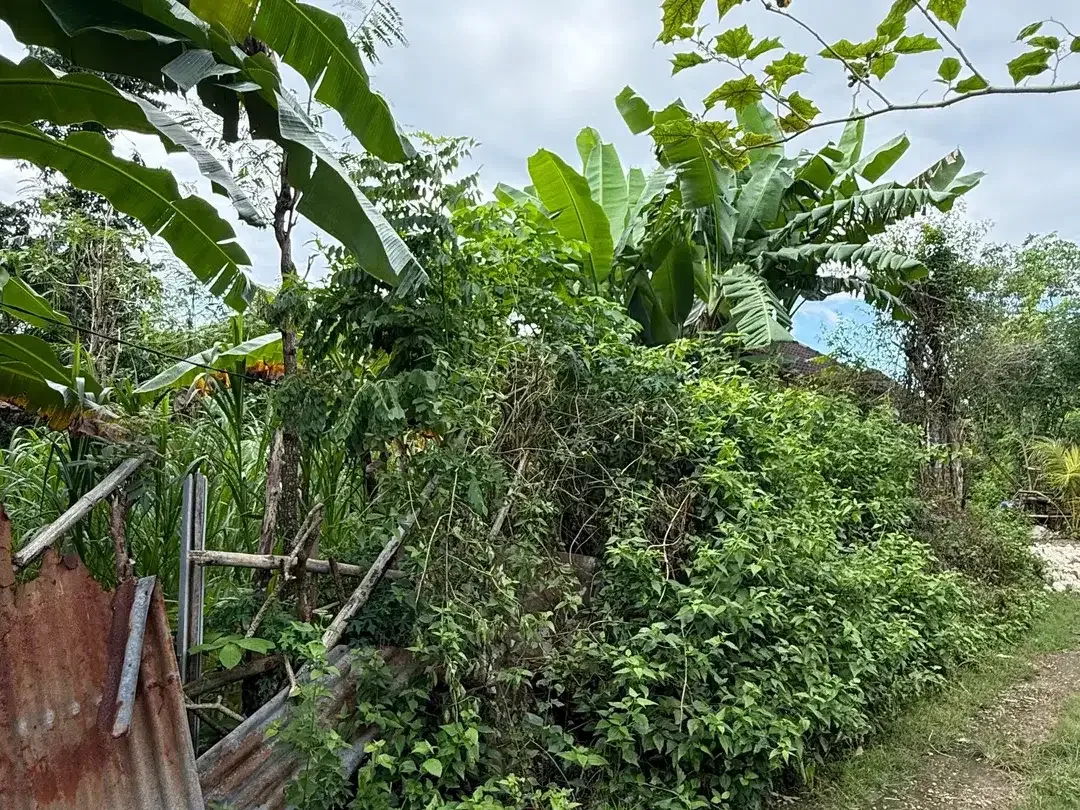 Dijual Tanah 250m2 Lokasi Di Area Dekat GWK Bali - Image 2 of 8