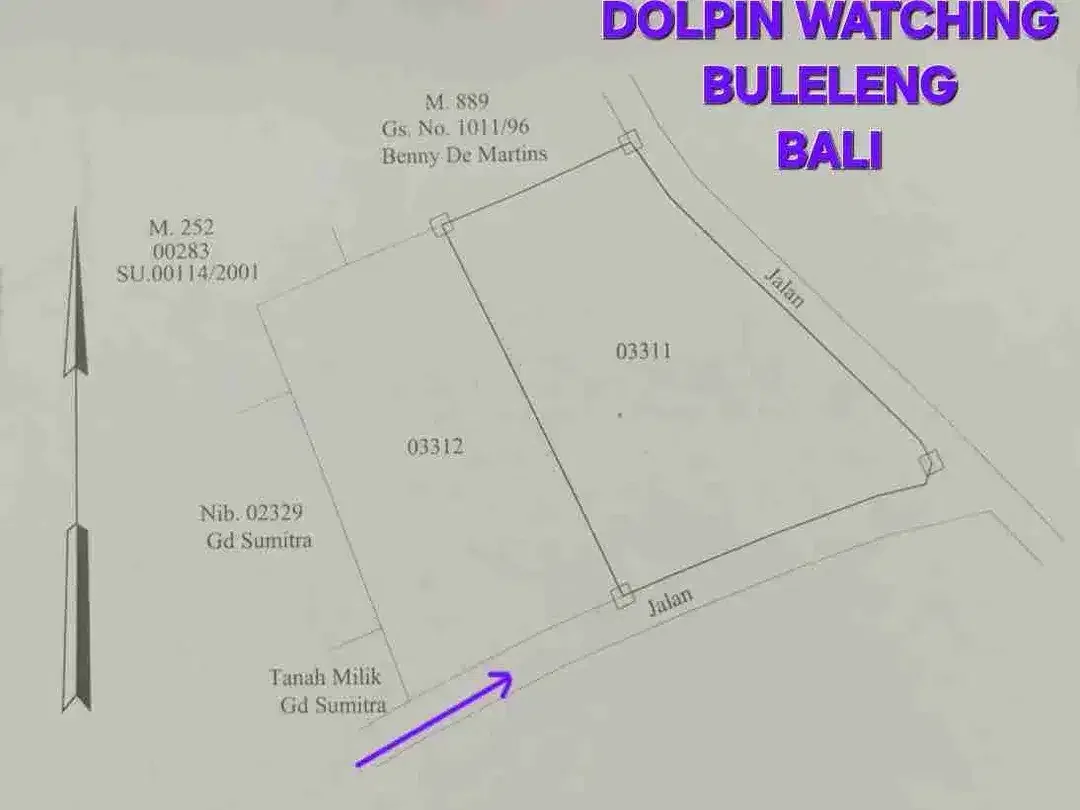 BUC, dijual TANAH 10 ARE cck utk villa dkt LOVINA DOLPIN Buleleng Bali - Image 4 of 10