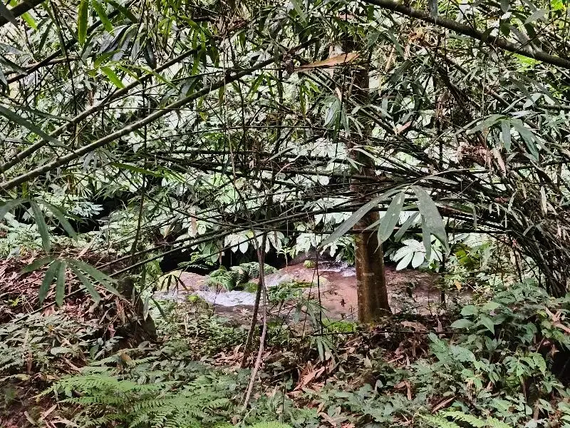 Dijual tanah murah los sungai dan view lembah dan bukit di bali - Image 8 of 10