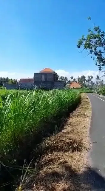 Tanah Murah Permata Pering Blahbatuh Gianyar Dekat Pantai Saba Ketewel - Image 5 of 10