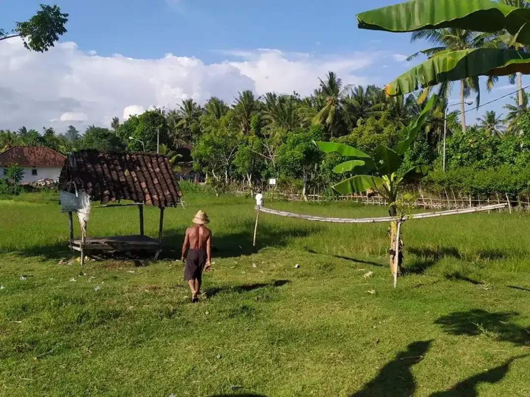 Dijual Tanah Hook Position & Tourism Zone, Los Pantai di Pebuahan – Investasi Pariwisata Bali Barat - Image 2 of 10
