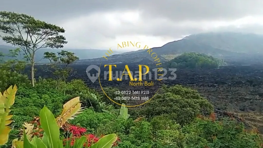 51 Are Shm Full Batur Mountain & Lake View Kintamani Bangli Bali - Image 3 of 4