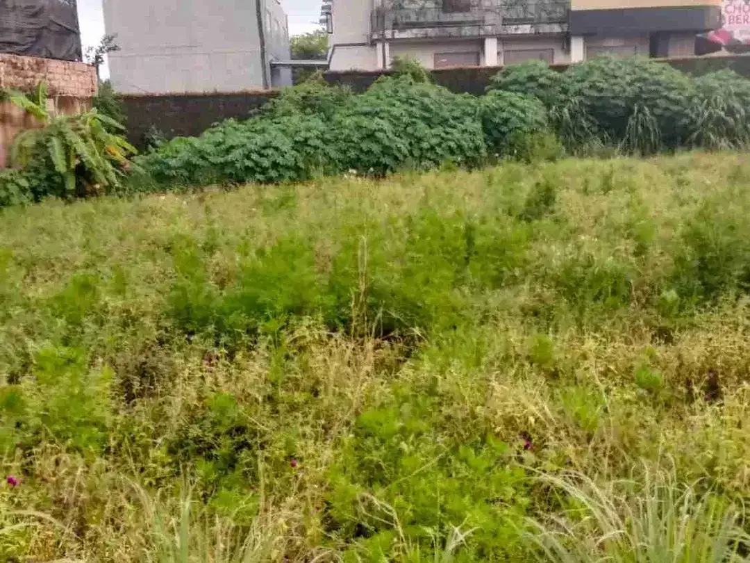 Dijual Tanah 11a di pinggir Jln Bay Pas Ngurah Rai Sanur Denpasar Bali - Image 2 of 6
