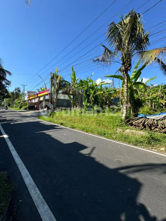 Dijual Tanah Pejeng Timur Ubud Akses Strategis Pinggir Jl Utama - Image 4 of 4