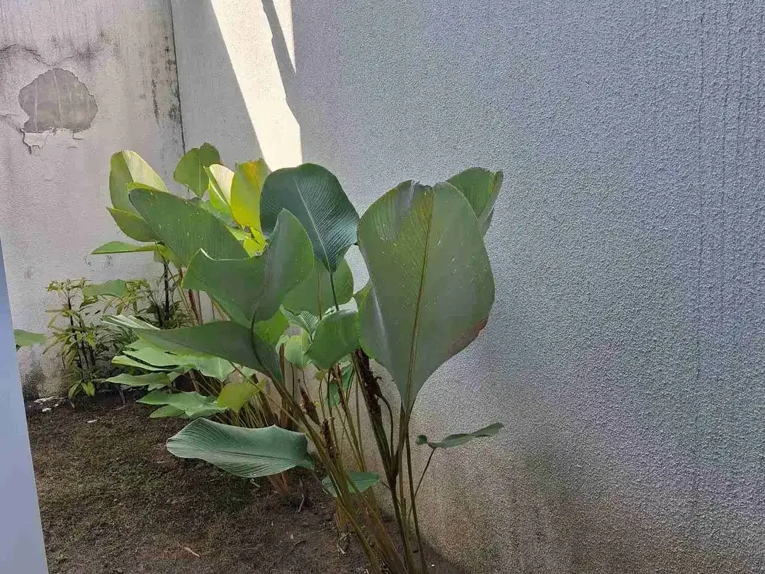 DIJUAL RUMAH BARU DI DENPASAR UTARA - Image 5 of 10
