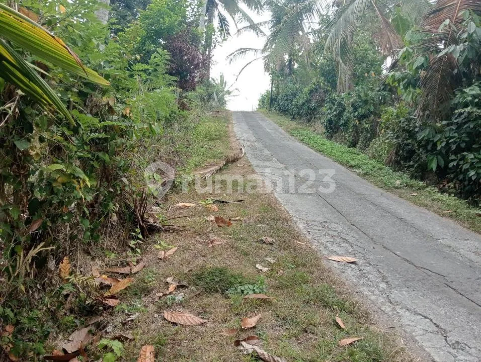 Jual Tanah Kebun Murah Dekat Pantai Balian di Tabanan - Image 2 of 4