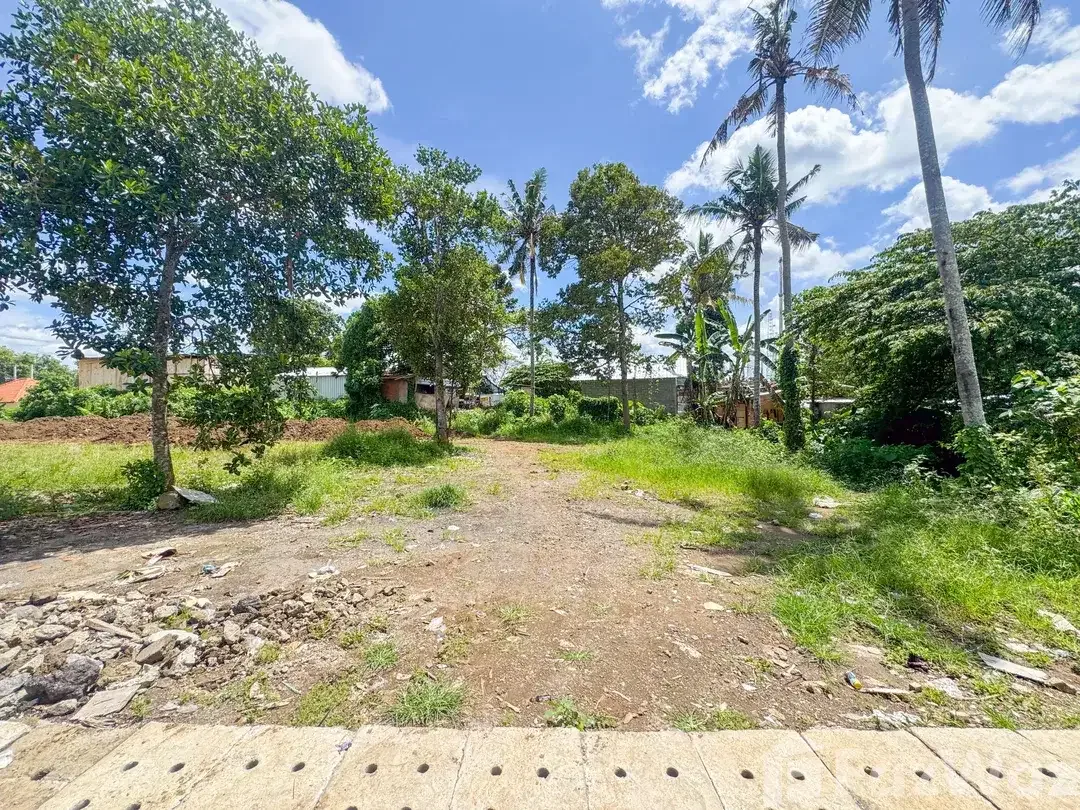 Land for sale in Ubud, Bali - Image 3 of 4