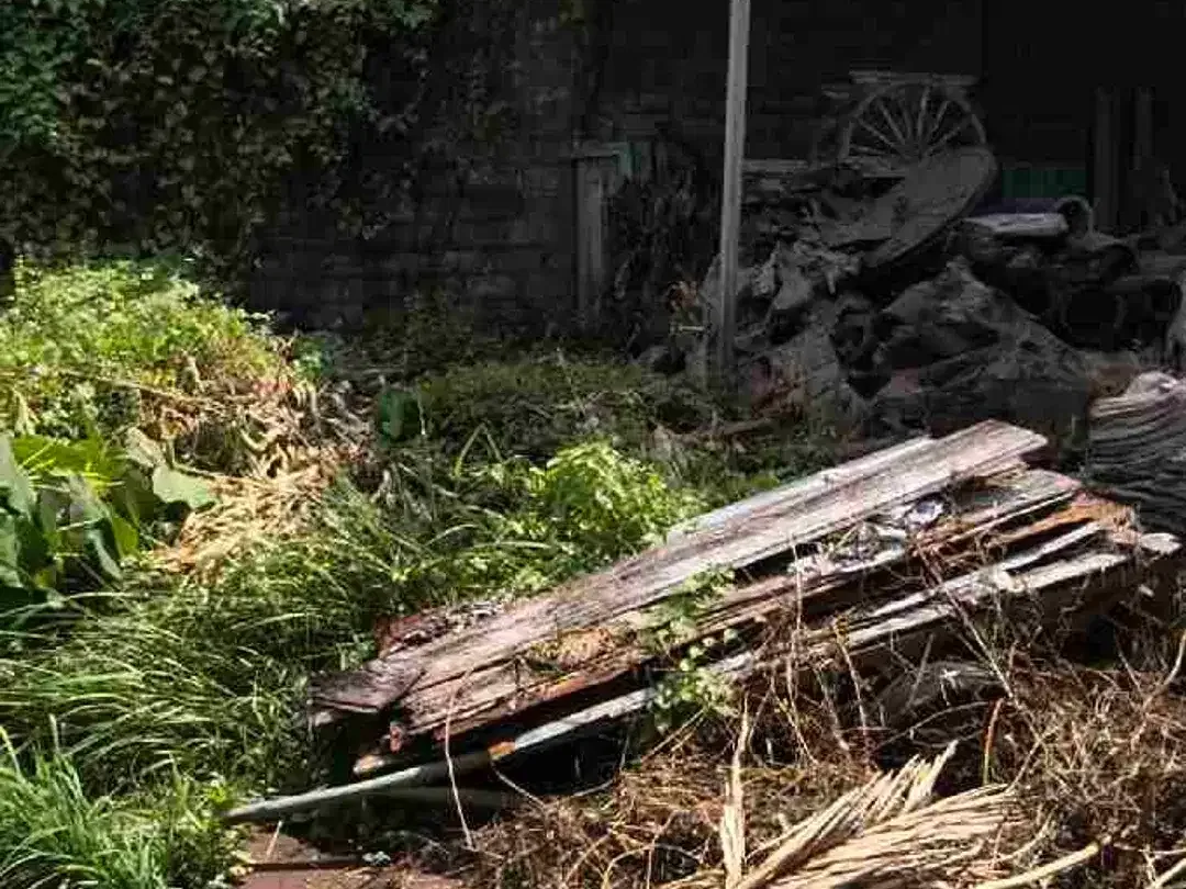Lahan Langka plot kecil zona Kuning gg nangka kerobokan area nyaman strategis bebas banjir - Image 4 of 6