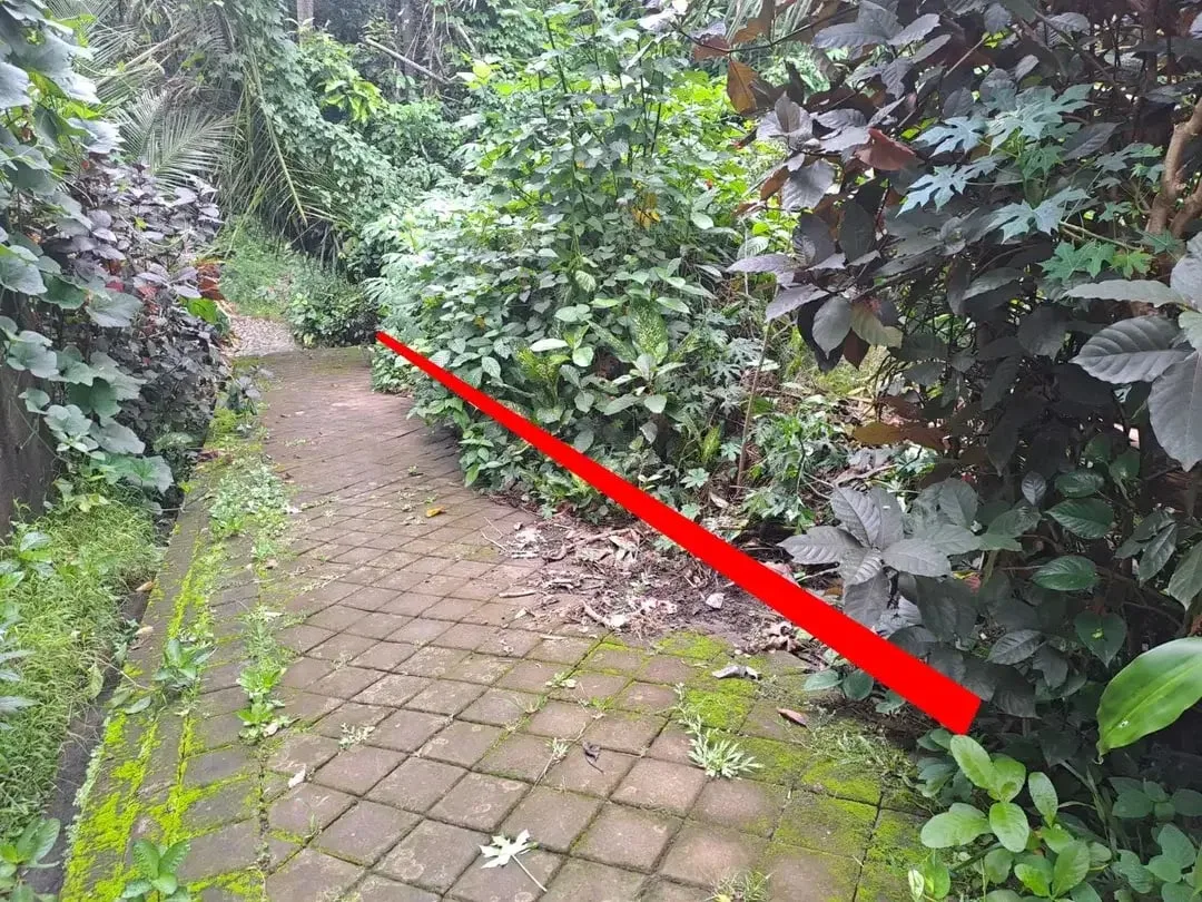 Prime Riverside Land In Mambal, Abiansemal, Quiet Area, Close To Central Ubud, Suitable For Villa - Image 3 of 6
