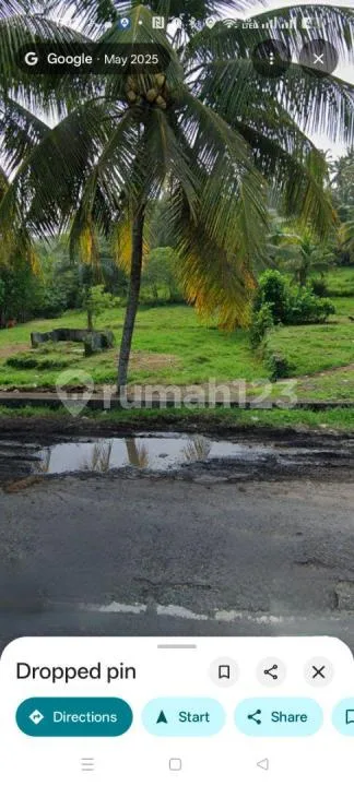 Tanah Jalan Utama Denpasar Gilimanuk Selemadeg Barat - Image 3 of 4