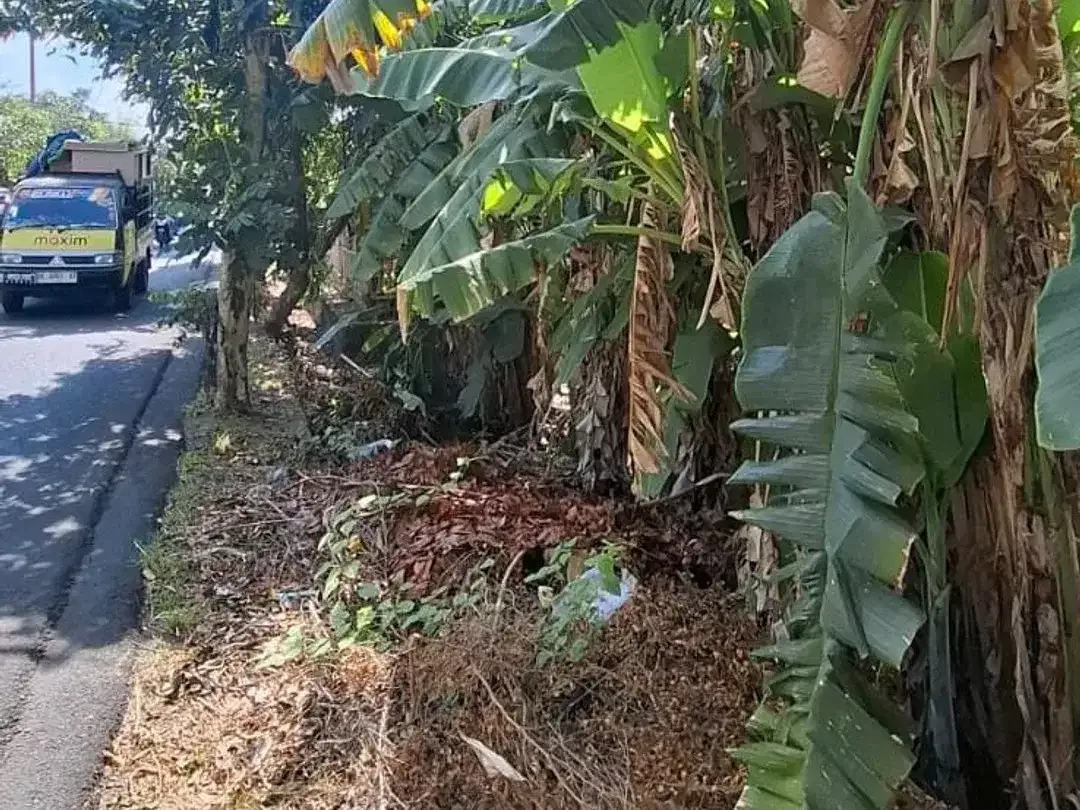DI JUAL TANAH PINGGIR JLN UTAMA / COCOK UNTUK SEGALA JENIS USAHA - Image 3 of 5