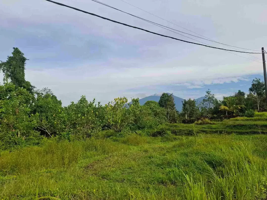 tanah kebun view gunung, view sawah dan los sungai kecil - Image 1 of 8