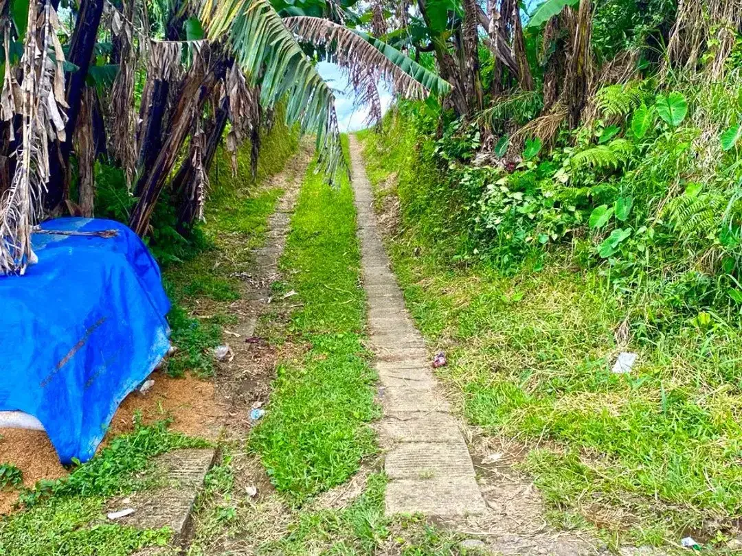 Land for sale in Baturiti, Bali - Image 2 of 6
