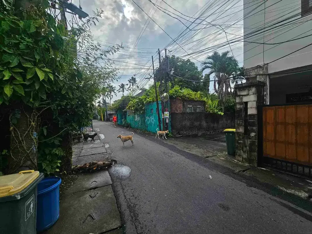 dijual tanah premium petitenget seminyak - Image 5 of 8