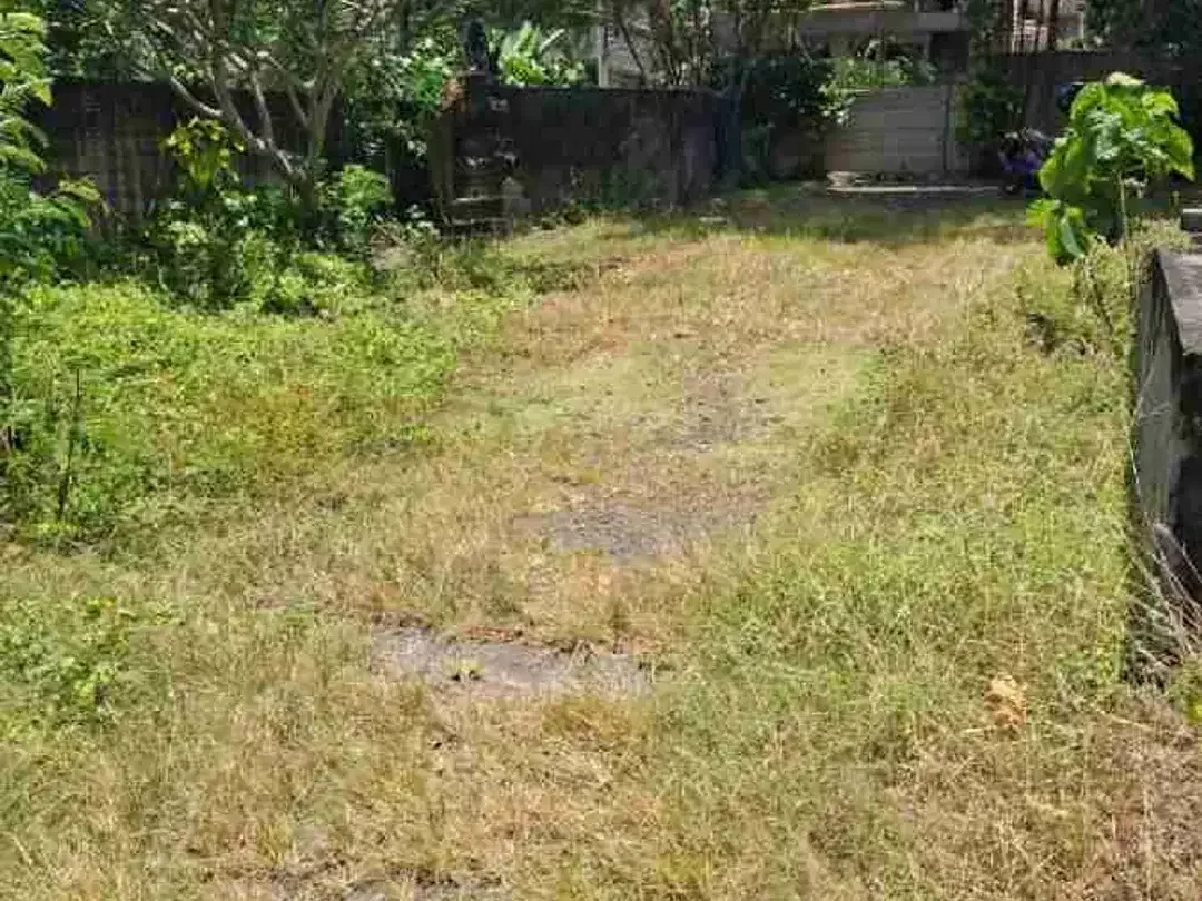 tanah kontrak di tengah tengah villa kerobokan - Image 8 of 8