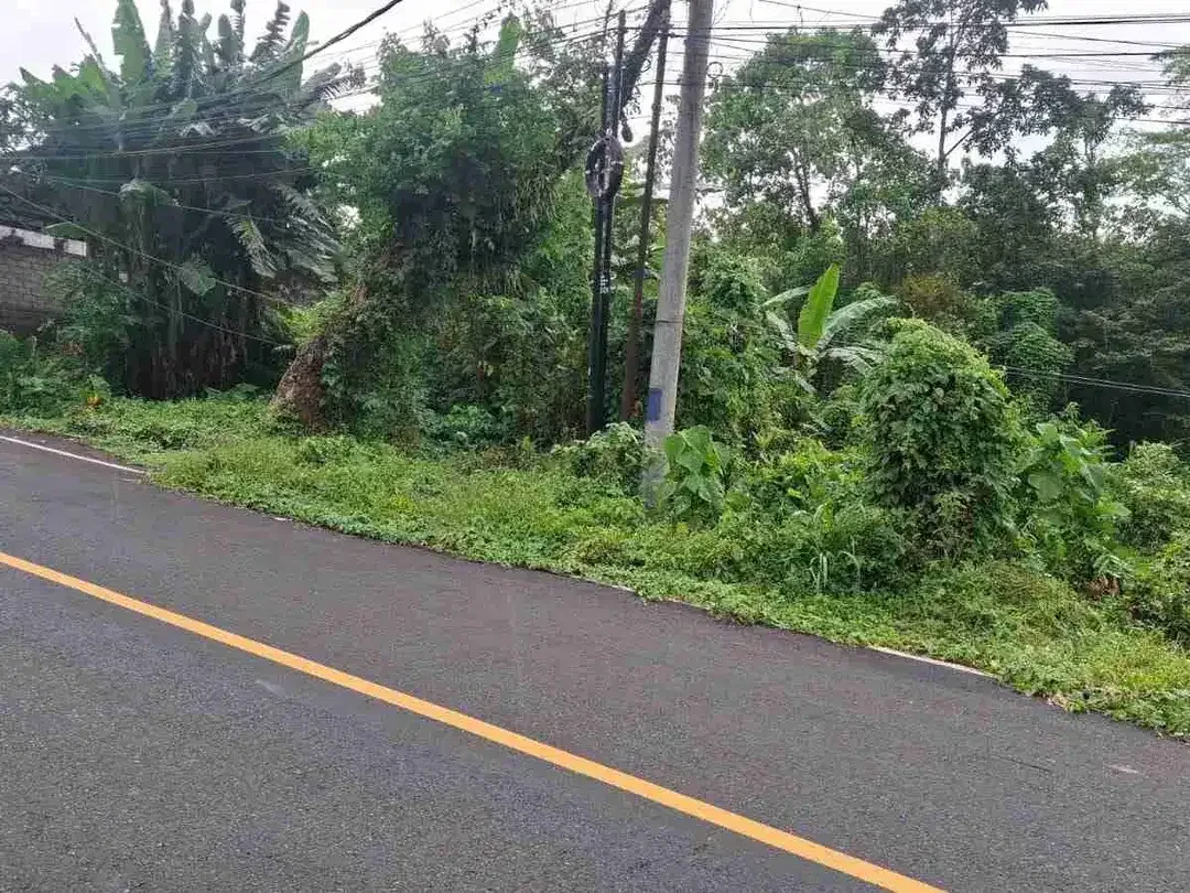 Tanah di Jalan Utama Denpasar Gilimanuk dekat Exit Toll Antosari - Image 3 of 3