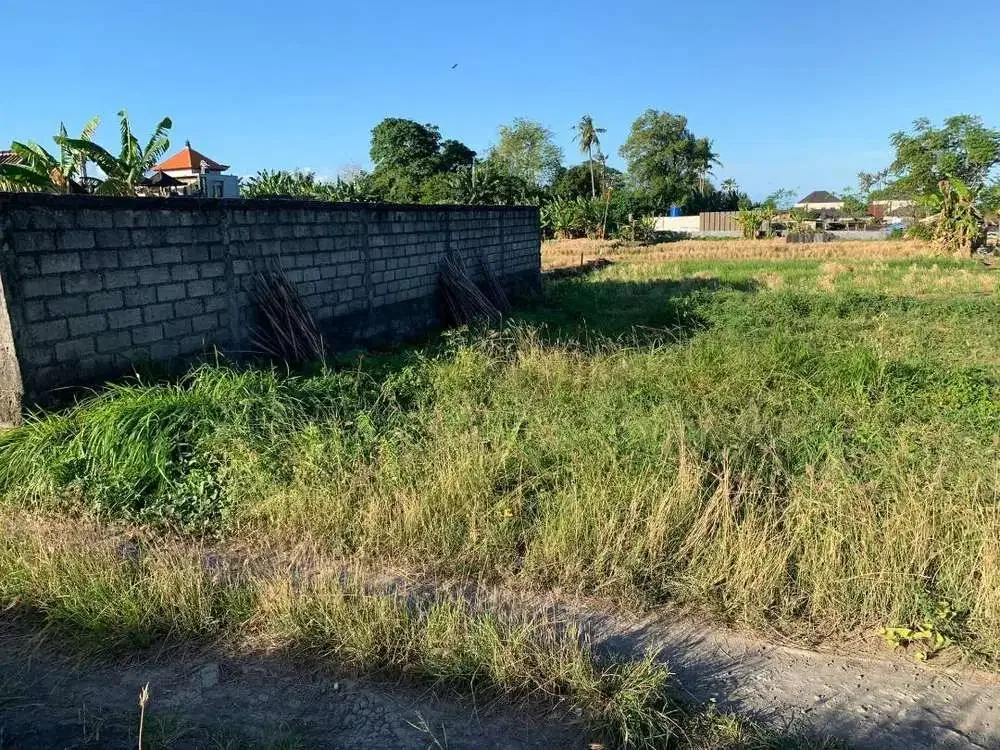 DIJUAL TANAH VIEW LAUT DI KETEWEL GIANYAR - Image 4 of 7