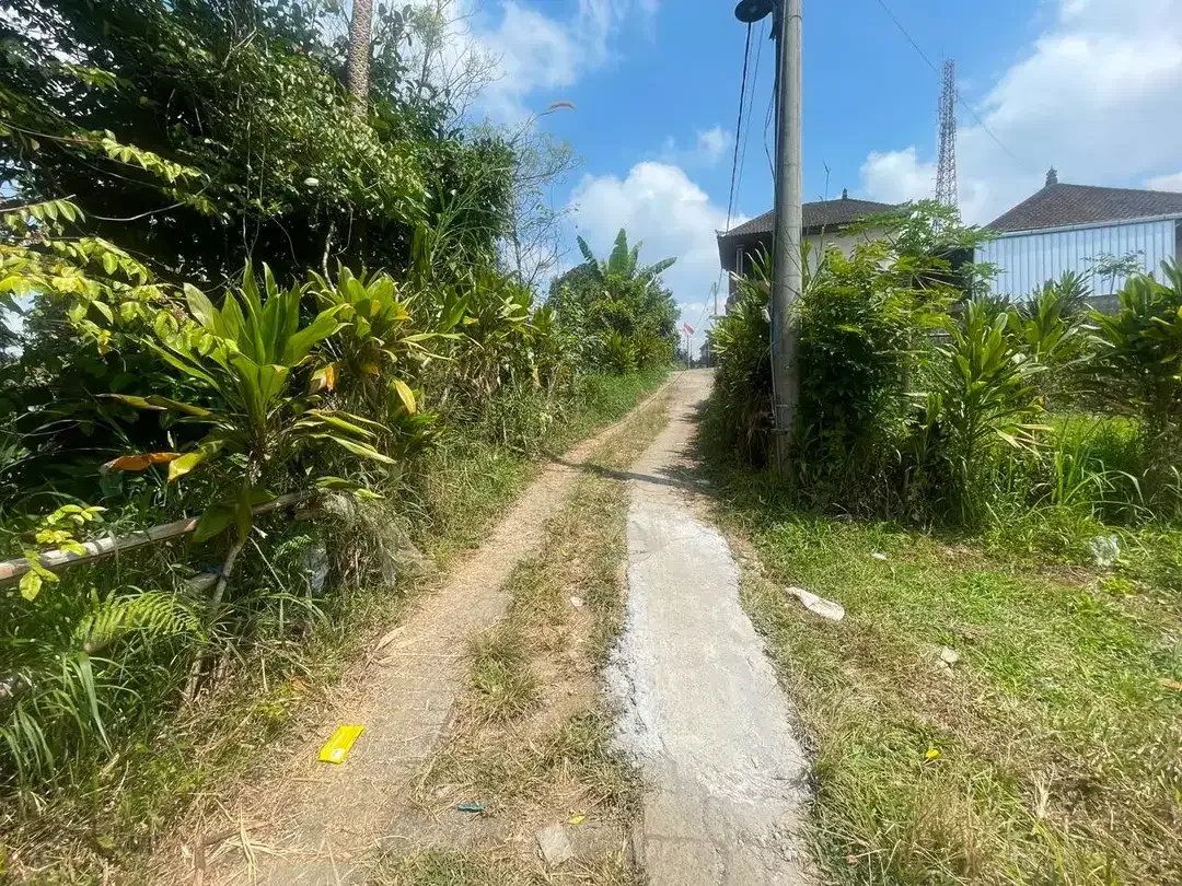 TANAH KOSONG DI BATURITI TABANAN BALI DEKAT STASIUN RADIO - Image 2 of 10