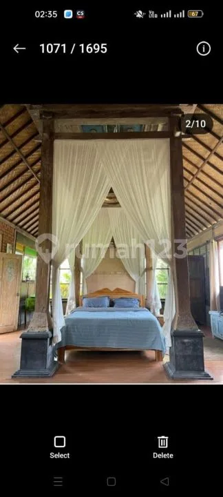 For Rent Villa Rice Field View Ubud , 10 Menutes From The Center Of Ubud Gianyar, Mongkey Fores. Ubud In The Middle Of The Rice Fields Sunset View Of The Most Beautiful - Image 1 of 4