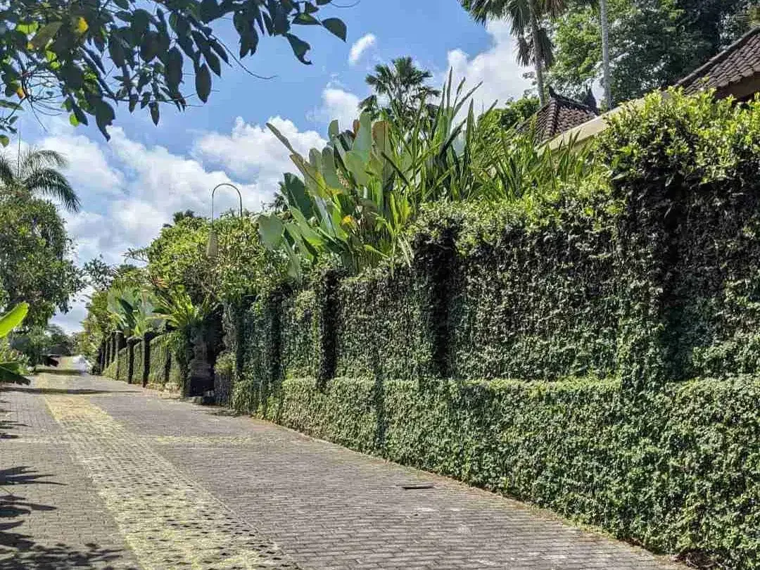 RESORT VILLA UBUD PULAU BALI - Image 4 of 10
