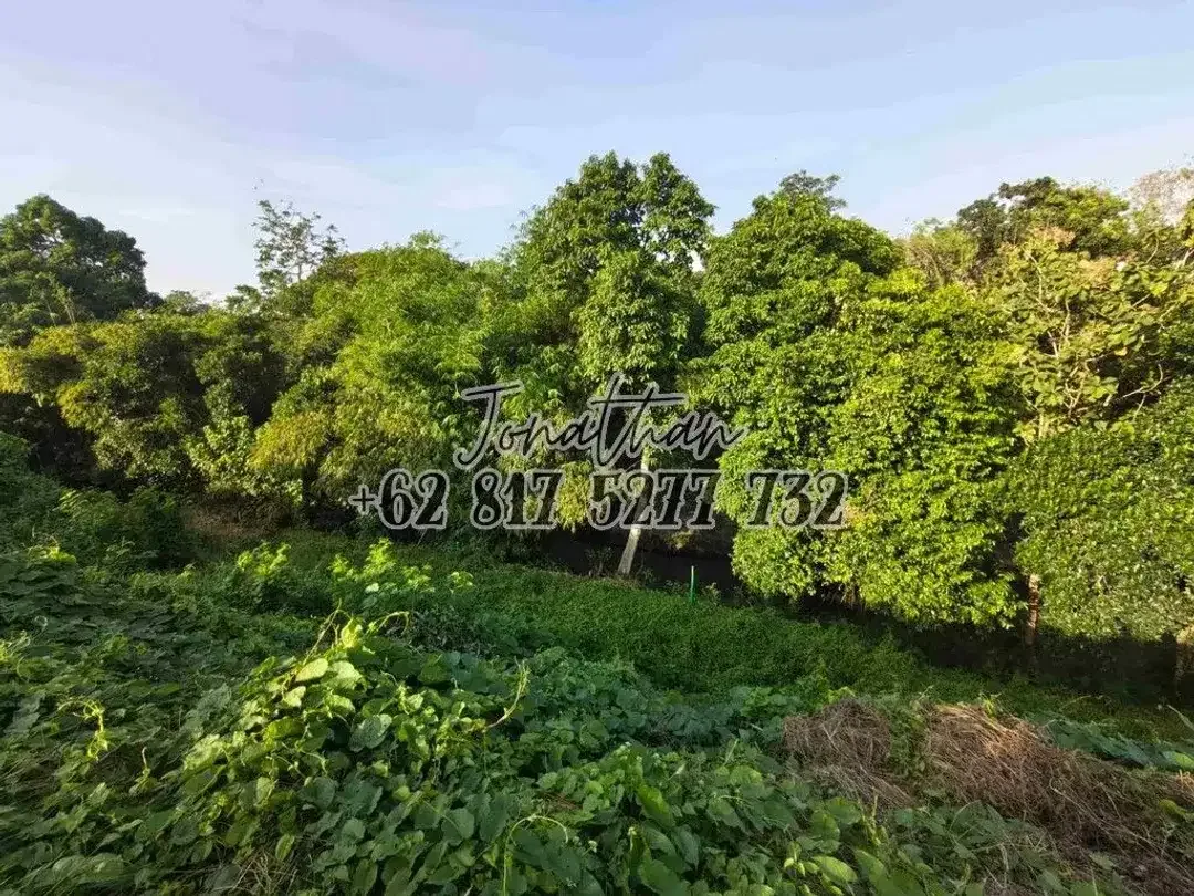 TANAH KAVLING DIJUAL DI SEKAR AYUNG RESIDENCE LOS SUNGAI - Image 7 of 8