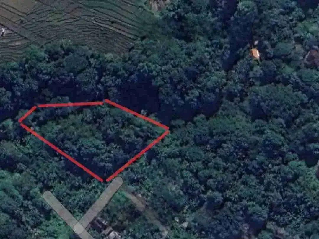 land in river side and jungle near canggu - Image 4 of 10