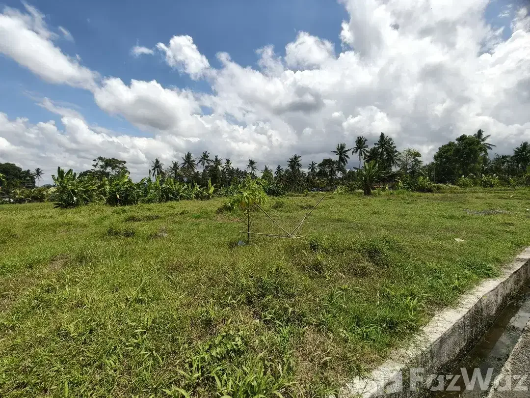 Land for sale in Tegallalang, Bali - Image 6 of 9