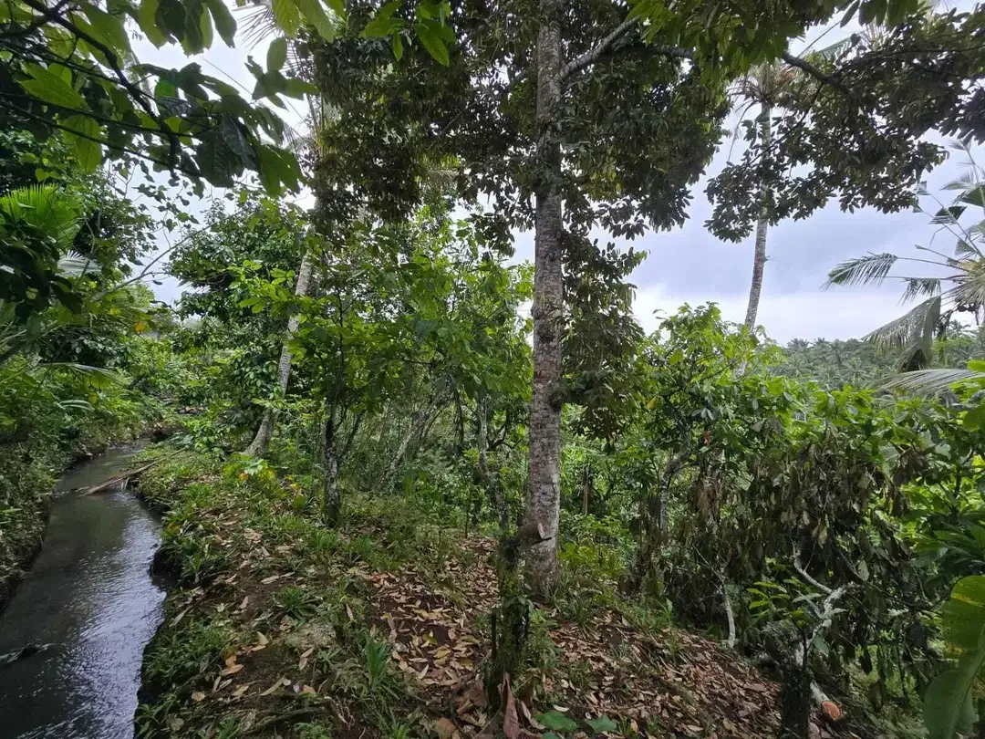 Dijual tanah di bali los sungai dengan view exotik jugle - Image 8 of 10
