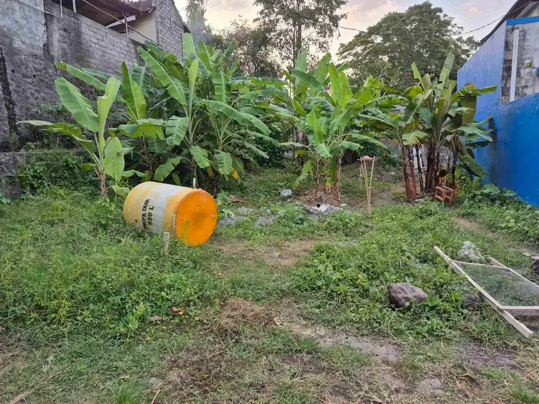 Dijual Tanah 1,38a di Jln Keboiwo Utara Denpasar Utara Bali - Image 2 of 10