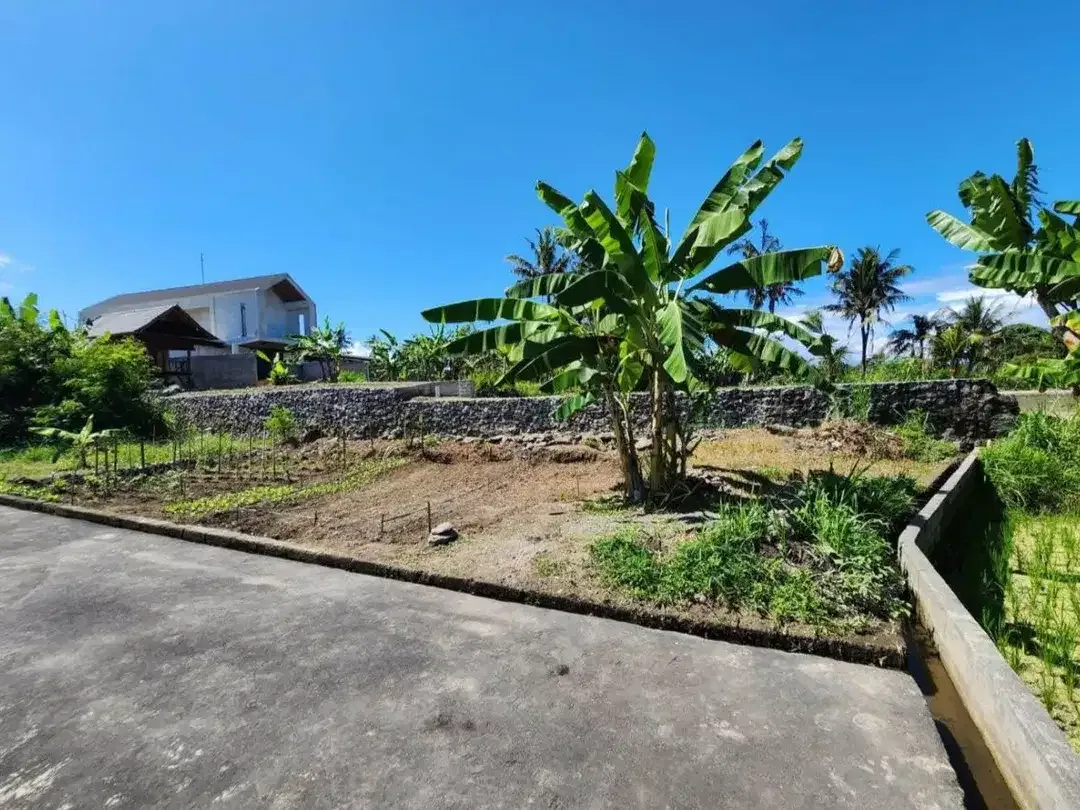 Dijual Tanah Siap Bangun - Berlokasi di Pering, Idabagus Mantra, Gianyar, Bali - Image 2 of 4