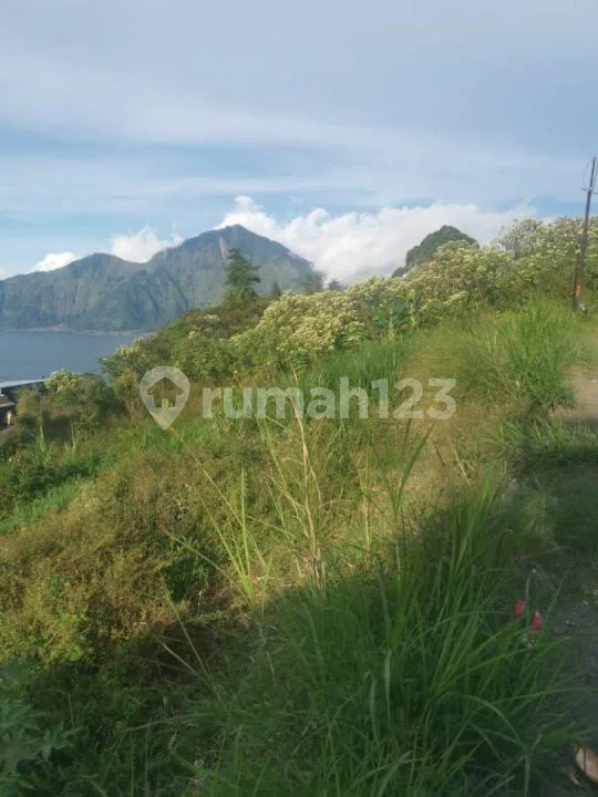 For Sale | Tanah View Danau dan Pegunungan Kintamani Bali - Image 2 of 4