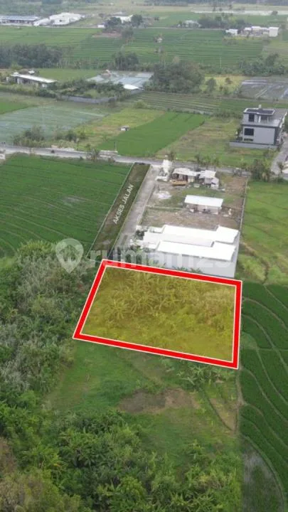 Tanah Premium Dekat Pantai Nyanyi Tabanan (Sy) - Image 2 of 4