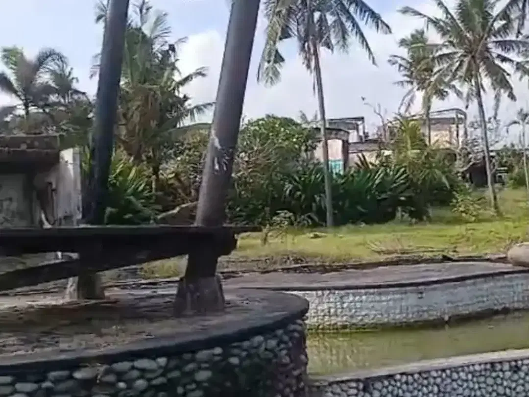 Dijual Tanah Los Pantai 45are Pantai Mengening Cemagi Bali - Image 3 of 7