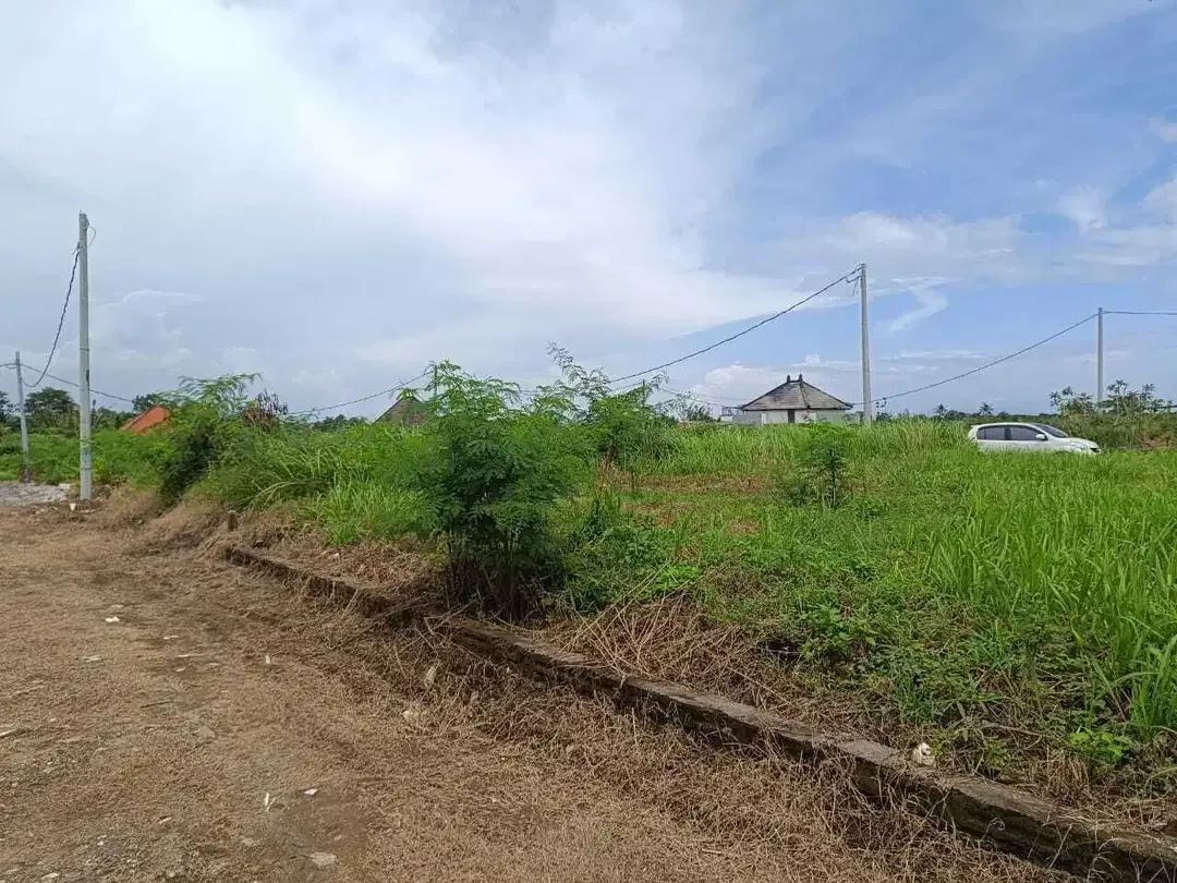 Kavling Murah View Sawah, Gunung, dan Ocean di Pering Gianyar - Image 3 of 7