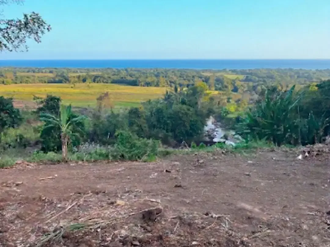 Dijual Tanah Kavling Villa dekat Pantai Kelating Kerambitan Tabanan - Image 3 of 10