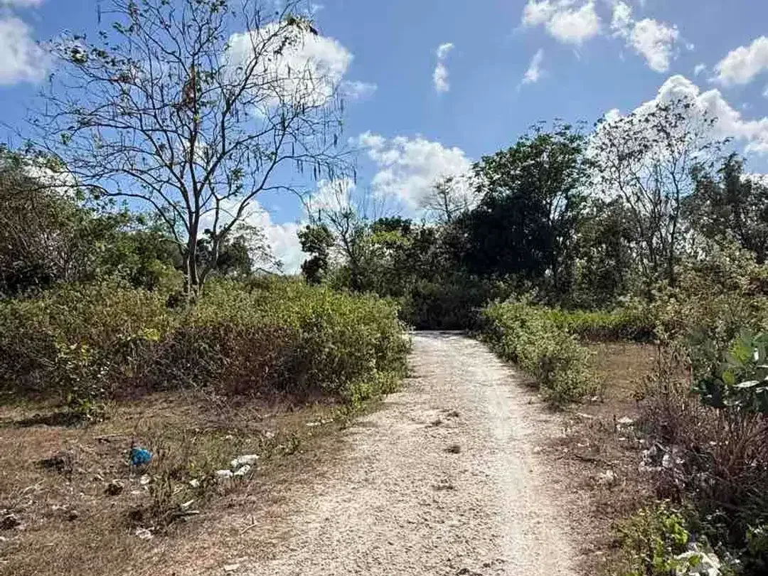 DIJUAL TANAH MURAH – TAMAN GIRI, KAMPIAL, NUSA DUA - Image 6 of 10