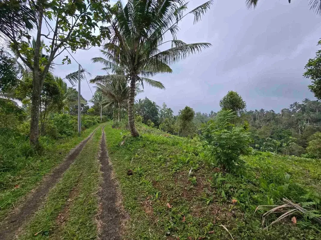 Dijual tanah kosong murah di tabanan bali - Image 8 of 10