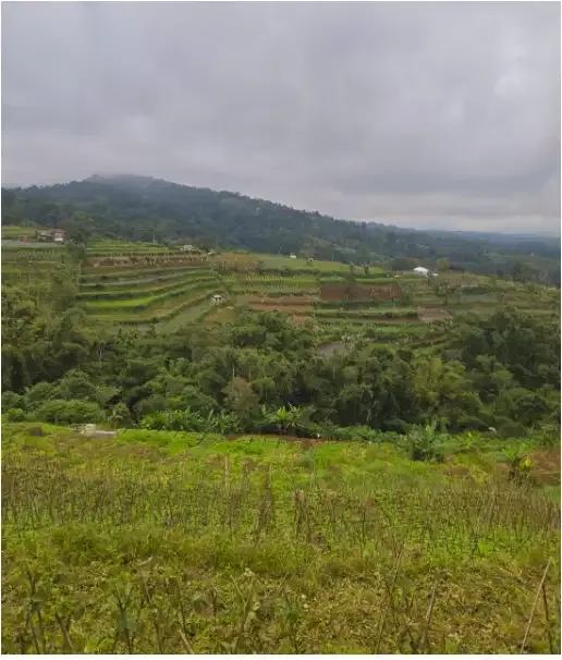 Tanah di Bedugul Tabanan - Image 8 of 10