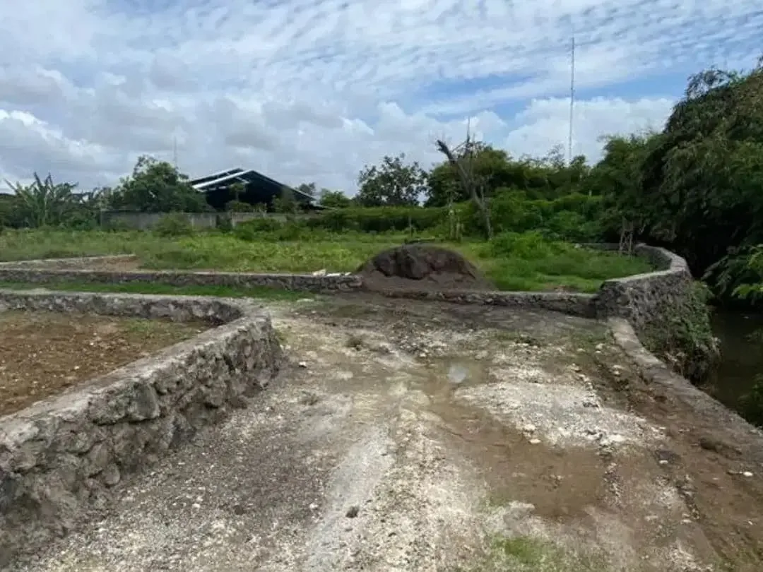 TANAH SUBAK TELAGA KETEWEL GIANYAR - Image 3 of 8
