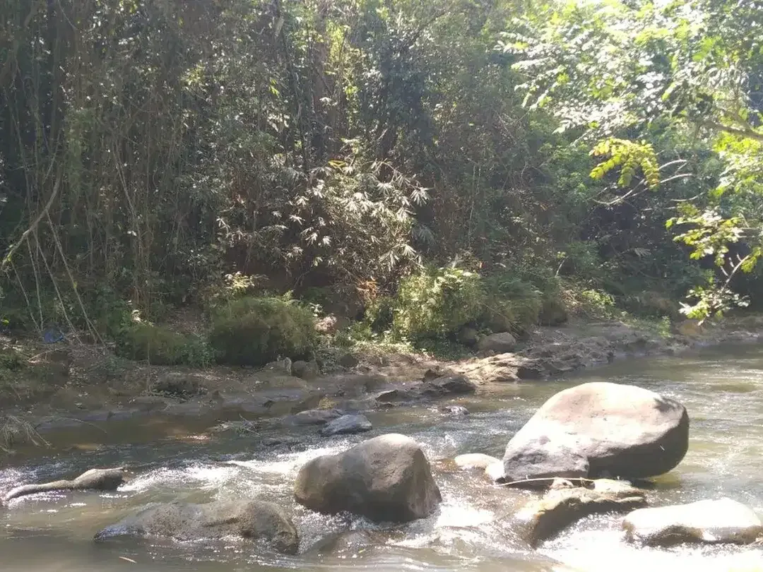 Freehold - 1.500 sqm Riverfront land for sale in south Ubud - Image 4 of 10