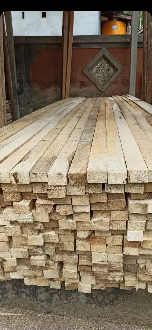 Dijual kayu jimas super lurus dll dri pemotongan langsung - Image 4 of 5