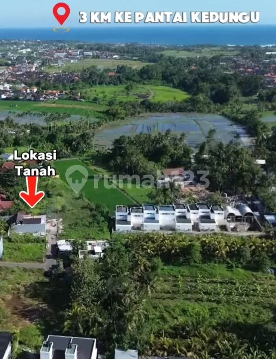 Kalau Anda Mencari Tanah di Kedungu Lihat Ini - Image 2 of 4
