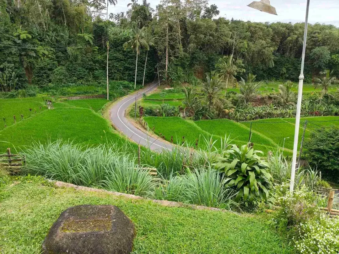 Kavling ubud - Tegallalang, view bagus - Image 4 of 5