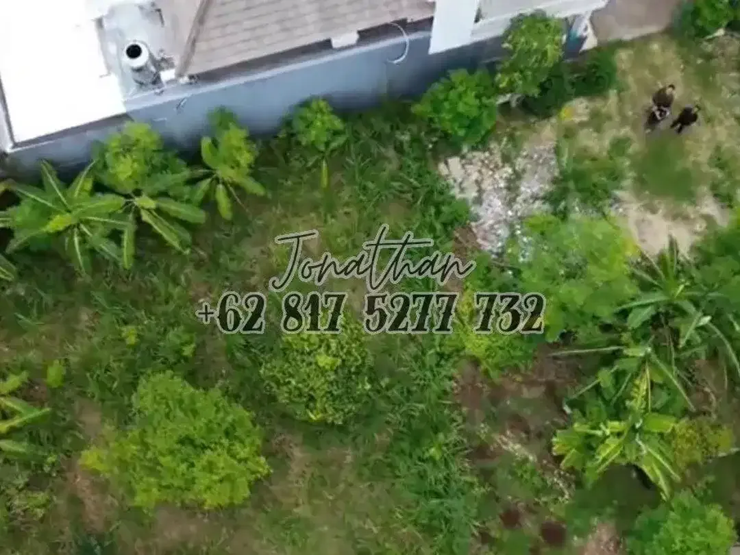 Dijual Tanah Gong Suling Jimbaran SHM Zona Kuning - LSADT - Image 5 of 9