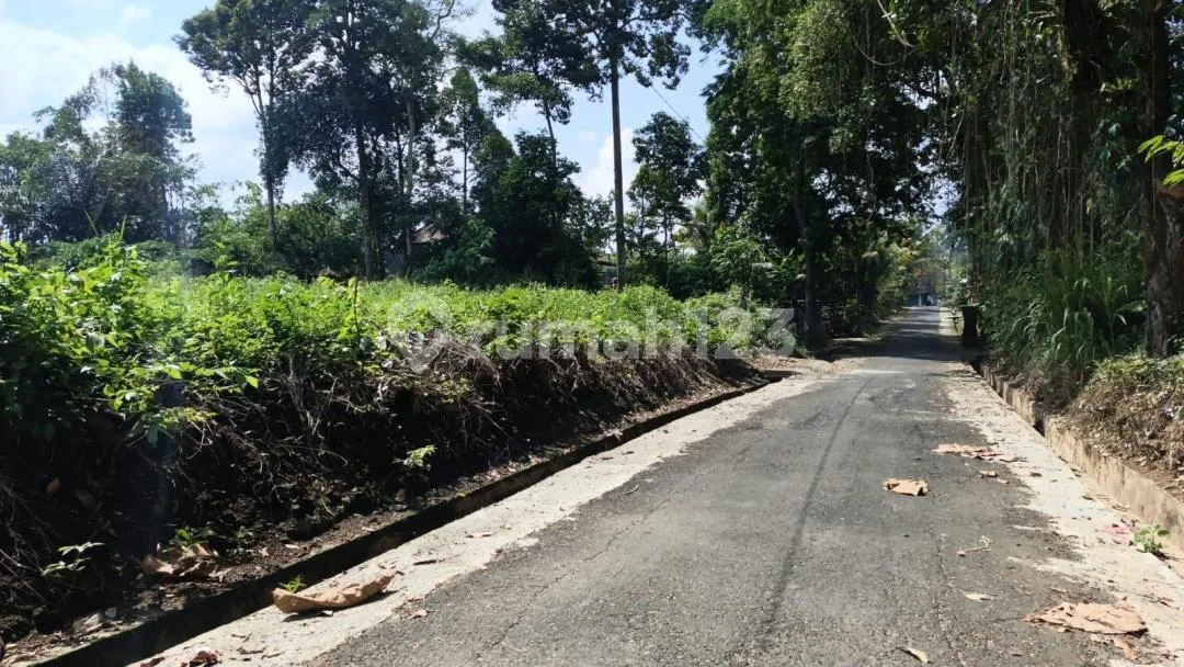 Dijual Lahan Murah 45 Are Sembung Mengwi Badung - Image 4 of 4