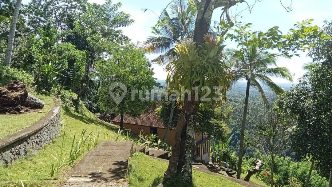 Tanah Premium Eksklusif dengan Izin Hotel di Tabanan Barat Triple View - Image 4 of 4