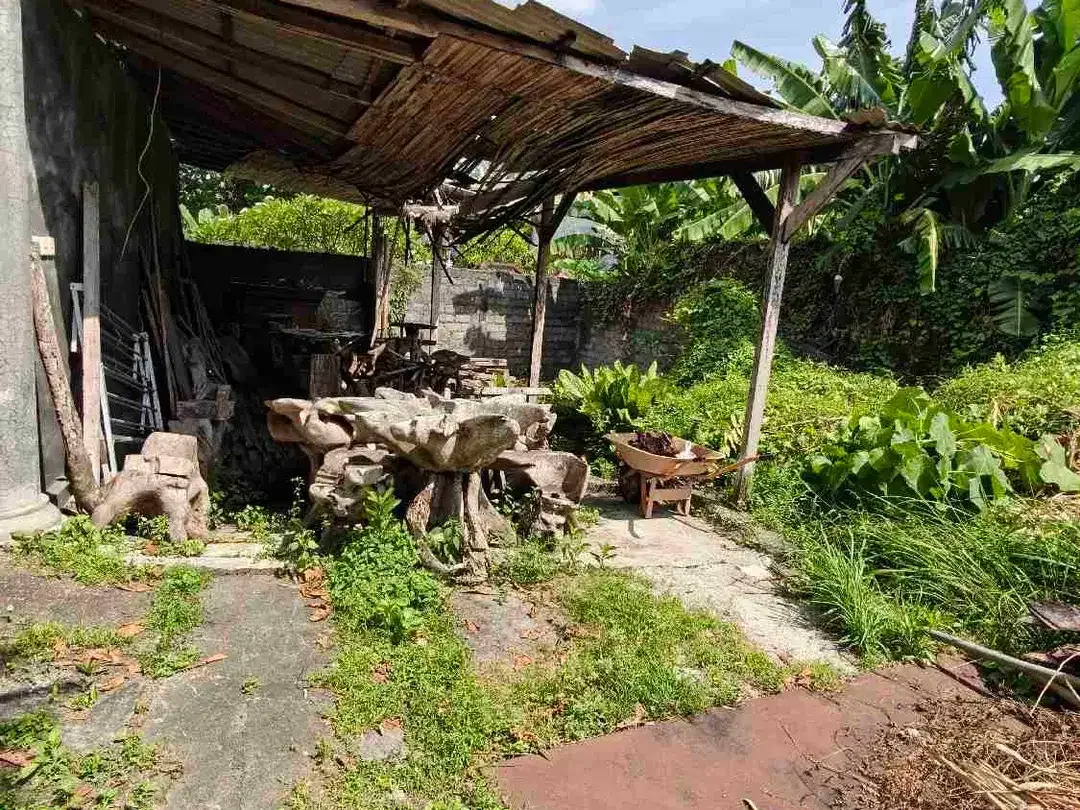 Lahan Langka plot kecil zona Kuning gg nangka kerobokan area nyaman strategis bebas banjir - Image 2 of 6